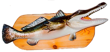 Unique Species