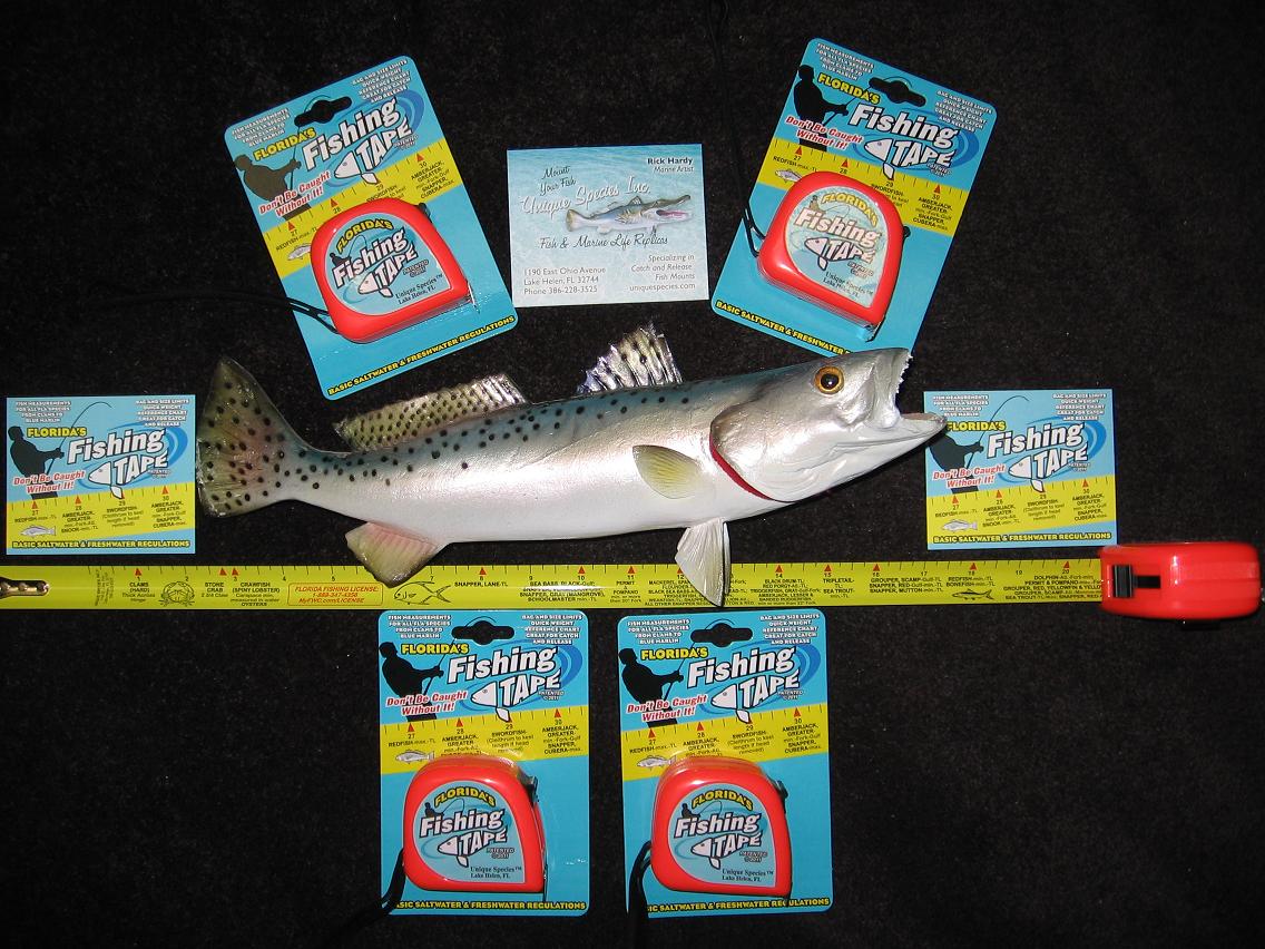 Florida Fishing Tape Fish Measuring Tape by Rick Hardy Fish Taxidermy