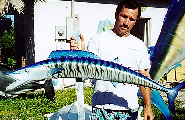 Florida Fish Taxidermy